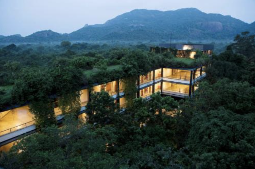 Villas integrated with natural forest canopy